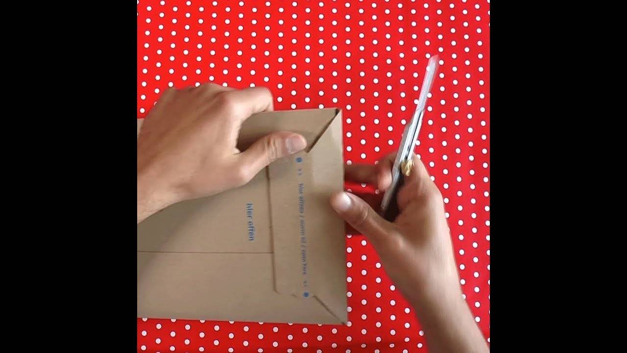 Unboxing Wahlprogramm DIE LINKE