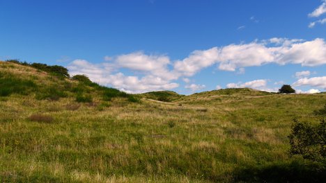 Hiddensee